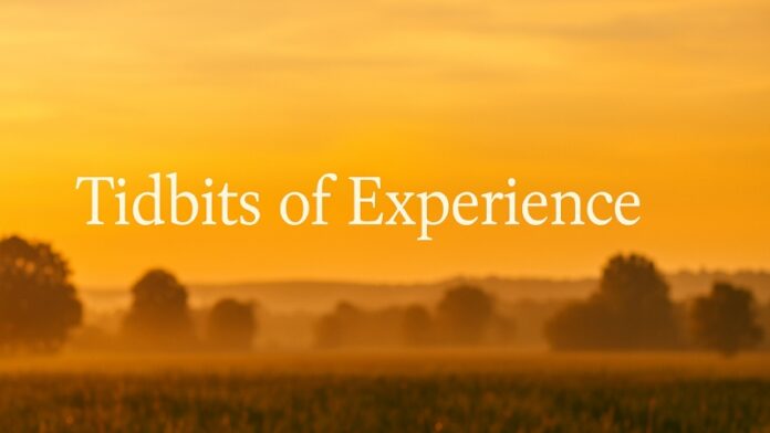 Tidbits of Experience